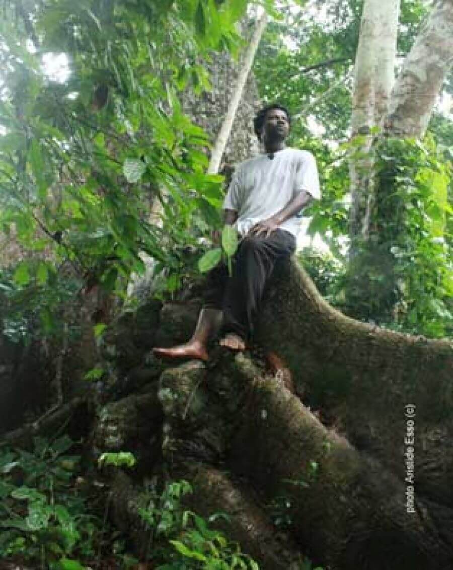 Eco-thérapie – Village culturel en forêt vierge (Bilé Bikam)